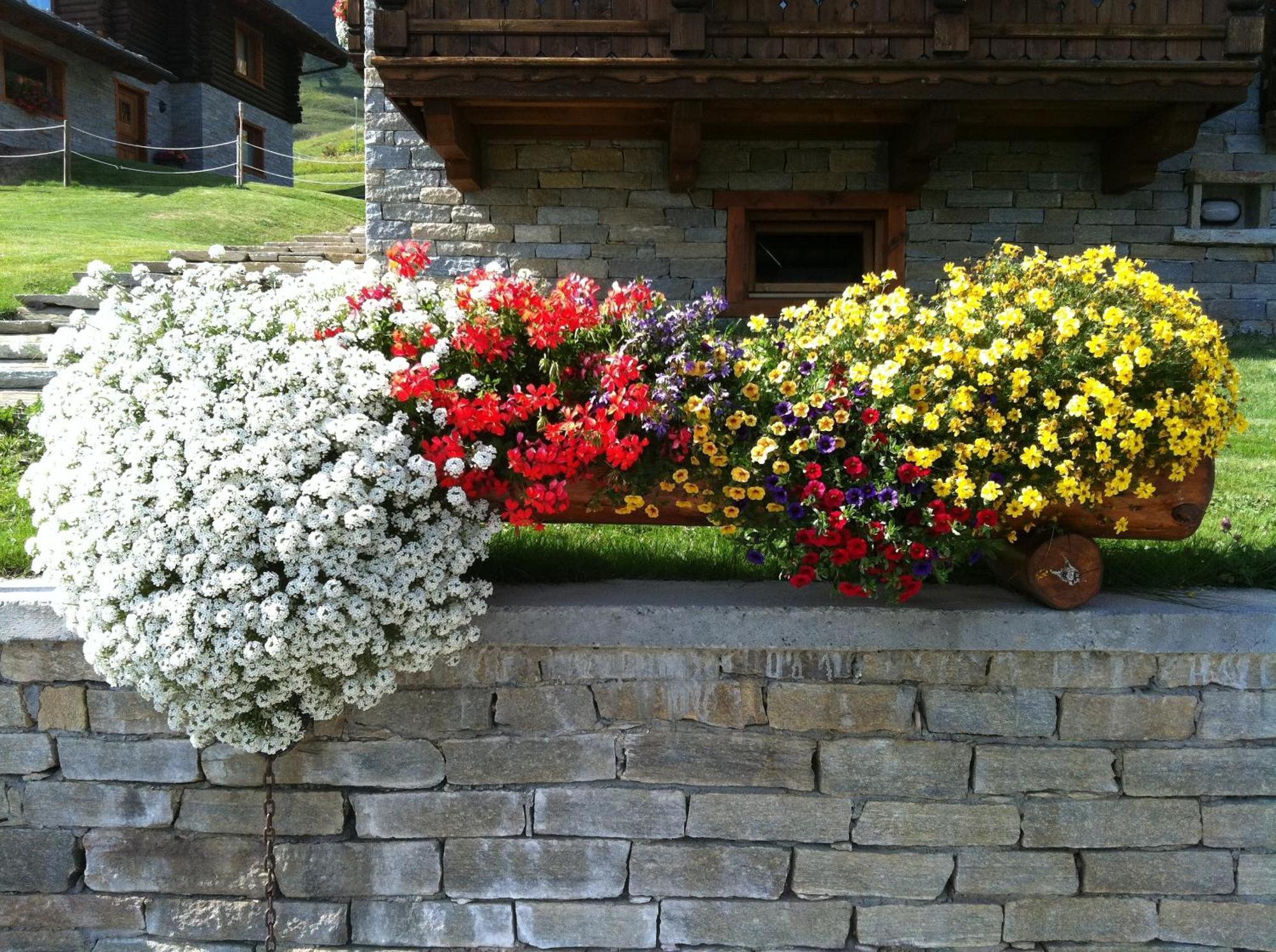 Residence Lo Peyo Champoluc Kültér fotó