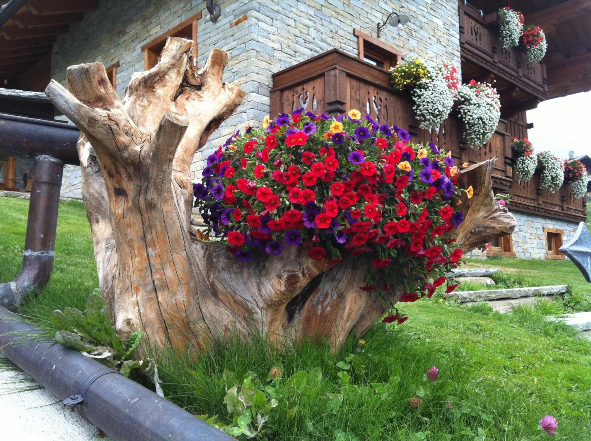 Residence Lo Peyo Champoluc Kültér fotó